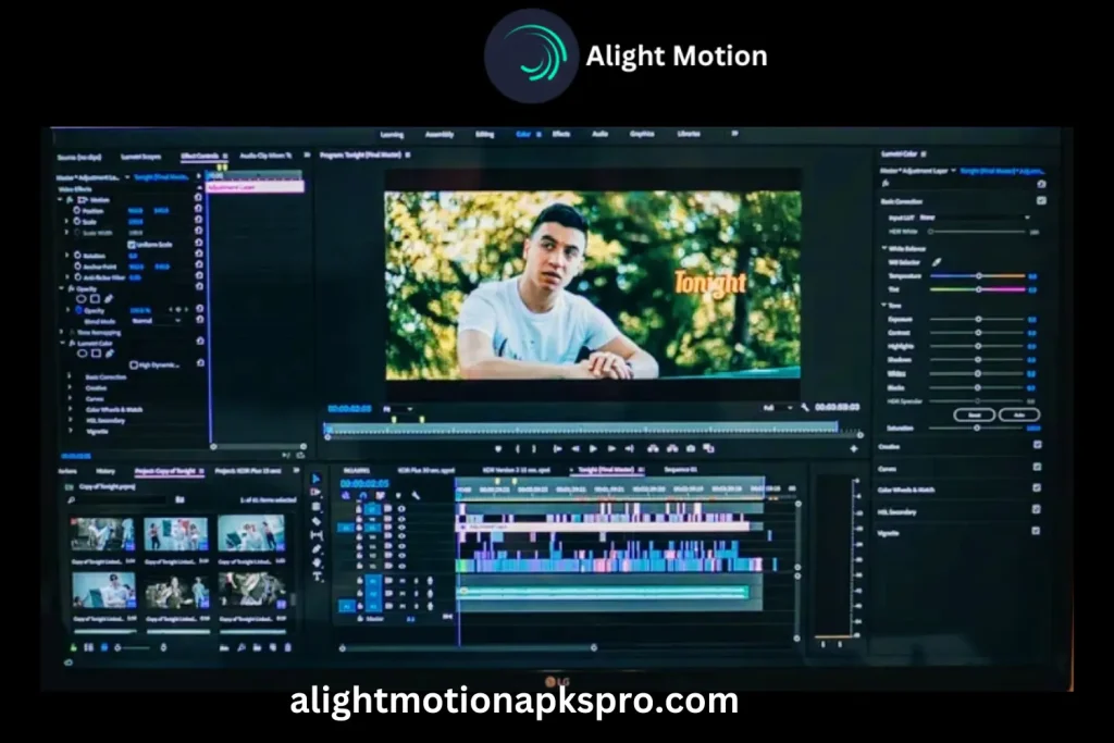 mac features for alight motion